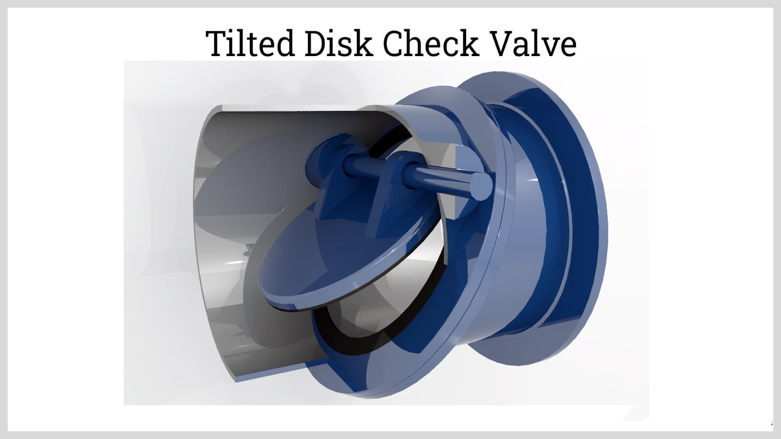 tilted disk check valve