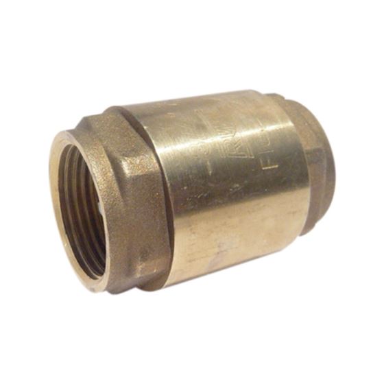 Spring Check Valve