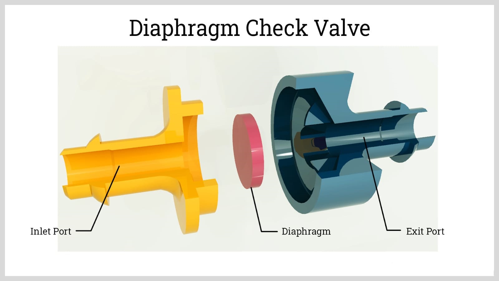 diaphragm check valve