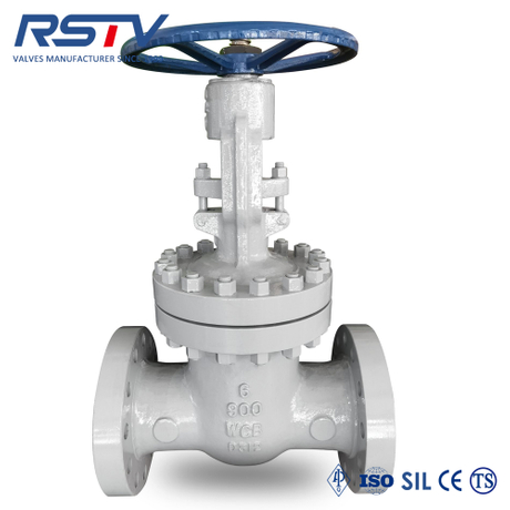 900LB WCB Flange gate valve.jpg