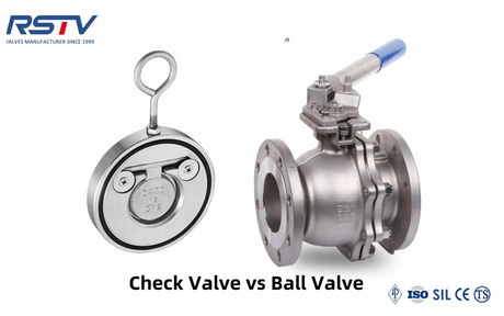 Check Valve vs Ball Valve.png