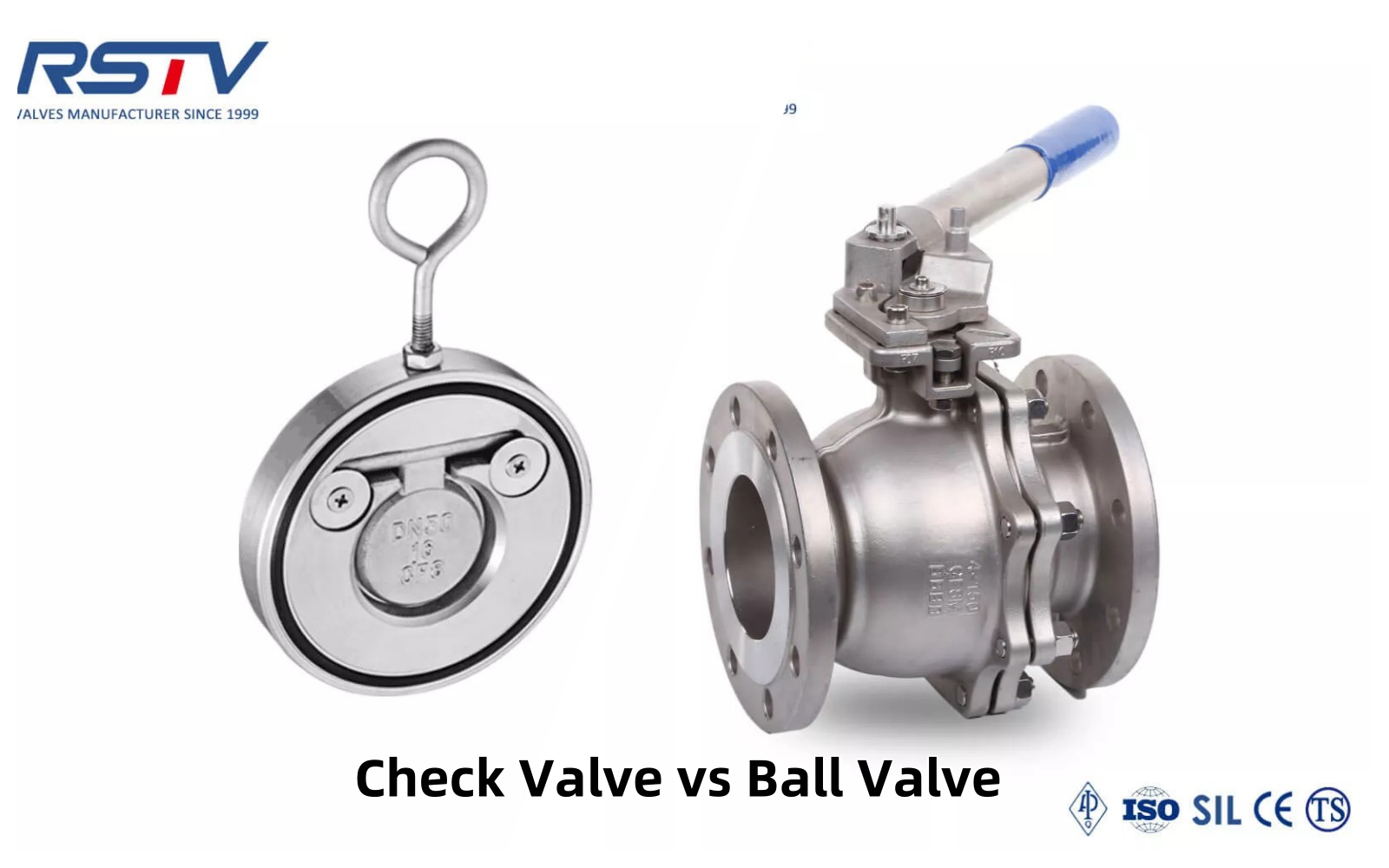 Check Valve vs Ball Valve