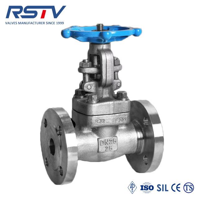 Forged Steel F304/F316 Stainless Steel Flanged Gate Valve