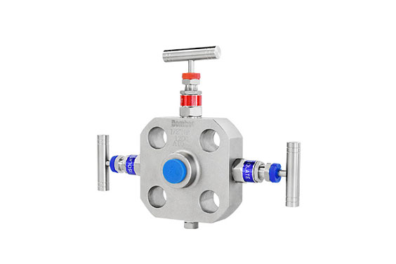 Needle Valve