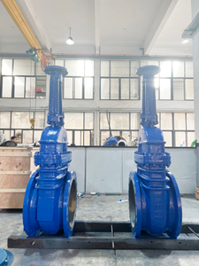 ANSI/API 150LB/300LB/600LB Cast Steel WCB Flanged Gate Valve