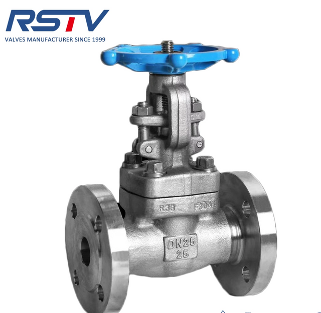 Forged Steel F304/F316 Stainless Steel Flanged Gate Valve