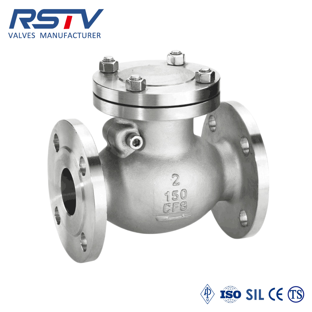 Stainless Steel Flange Swing Check Valve